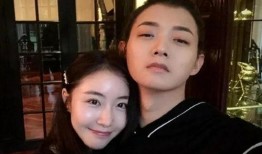 娱乐圈明星塌房爆料事件,揭秘明星背后的真相与代价